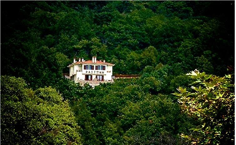 Rastoni Pelion Hotel Vizitsa Luaran gambar