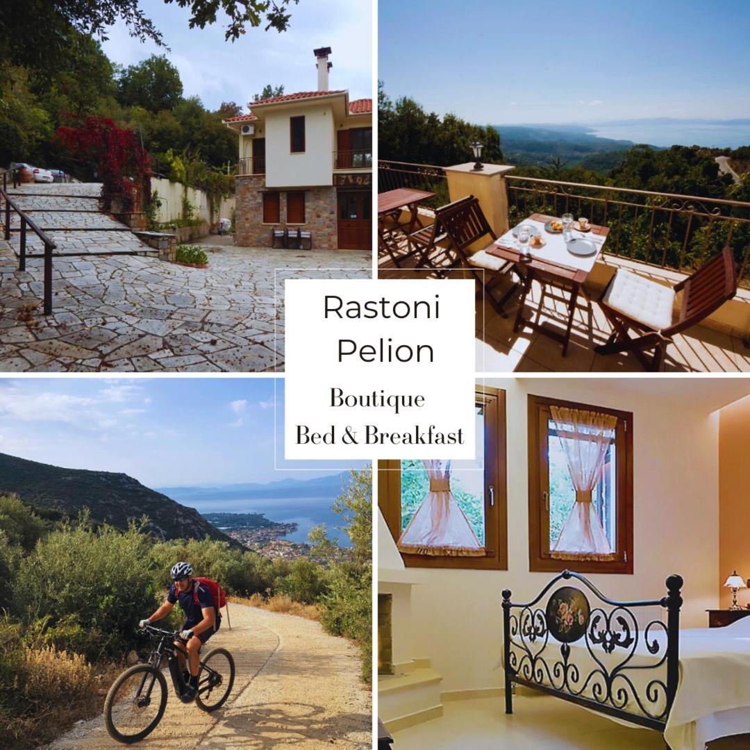 Rastoni Pelion Hotel Vizitsa Luaran gambar