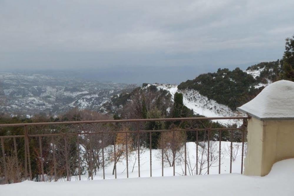 Rastoni Pelion Hotel Vizitsa Luaran gambar