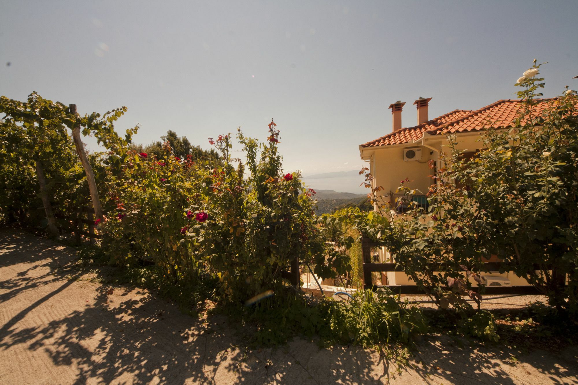 Rastoni Pelion Hotel Vizitsa Luaran gambar